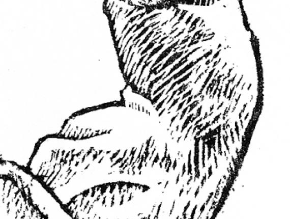 Xina China nena niña girl