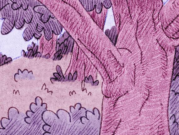 Màgia natura magia naturaleza magic nature