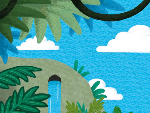 Andreu Toys jungle jungla animals animales