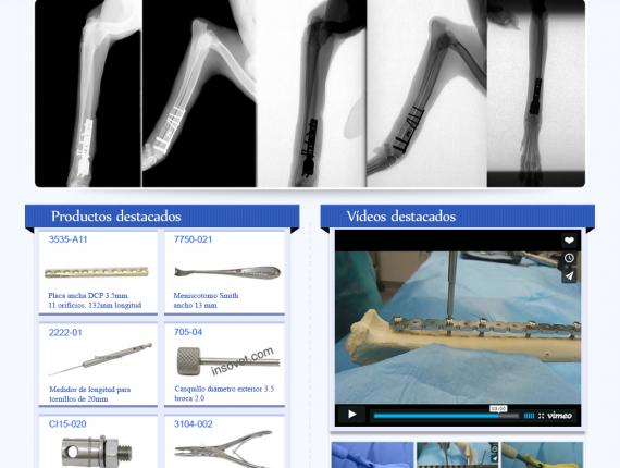 disseny diseño design web Insorvet