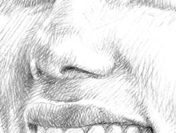 Scarlet Johanson Lost in Translation portrait retrat retrato