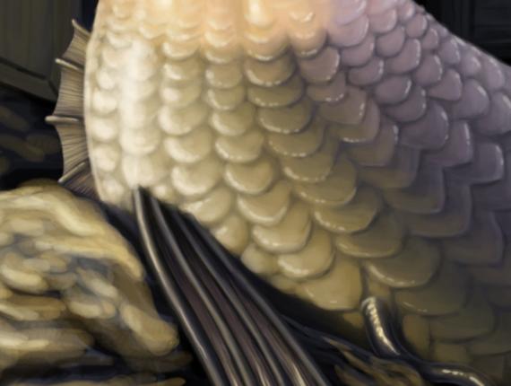 sirena mermaid capturada captured pirata pirate cova cueva cave