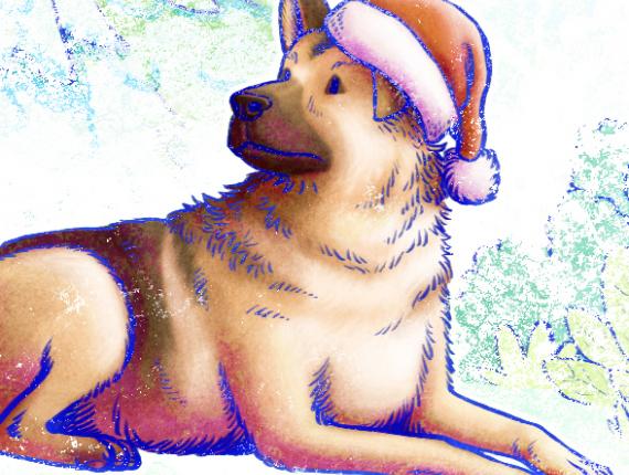 Bon Nadal Feliz Navidad Merry Christmas nen nena niño niña kids boy girl gos perro dog llaç groc llibertat