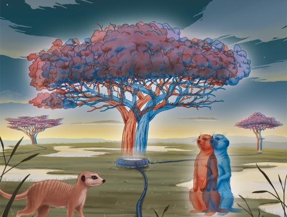 Futur com pinta 2010