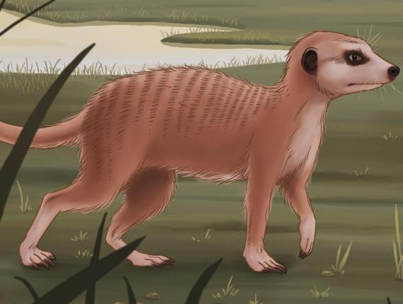 Futur com pinta 2010