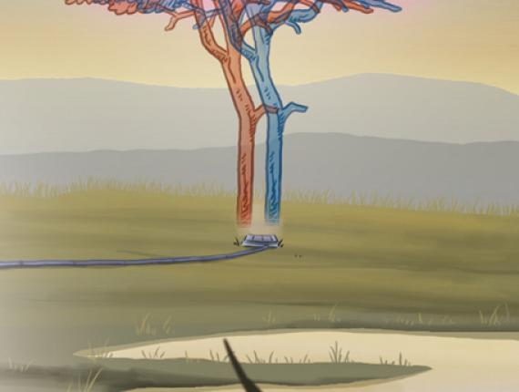 Futur com pinta 2010