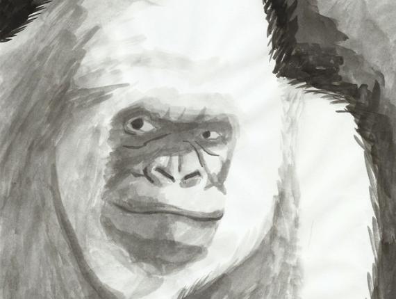 Floquet de Neu Copito de Nieve retrat retrato portrait