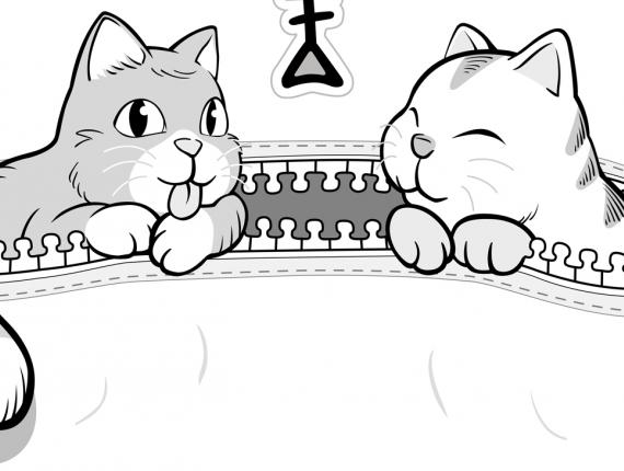 DeGats gat gato cat bossa bolsa bag