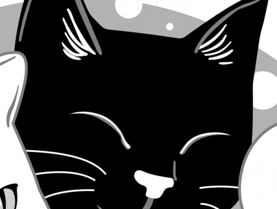 DeGats gat gato cat samarreta camiseta shirt bossa bolsa bag