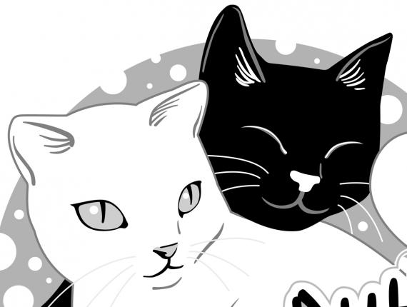 DeGats gat gato cat samarreta camiseta shirt bossa bolsa bag