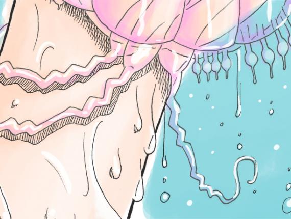 Fada aquàtica hada acuática aquatic fairy