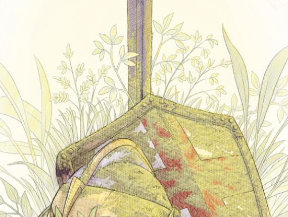 Sant Jordi rosa rose escut escudo shield espasa espada sword casc casco helmet