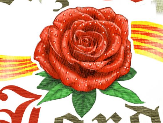 Sant Jordi rosa rose escut escudo shield espasa espada sword casc casco helmet