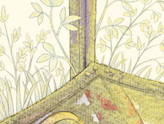 Sant Jordi rosa rose escut escudo shield espasa espada sword casc casco helmet