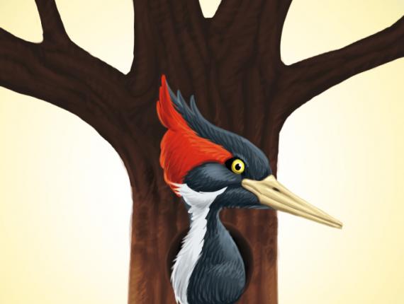 noia chica girl sirena mermaid arbre arbol tree estrella star ocell pica soques pajaro carpintero Woodpecker