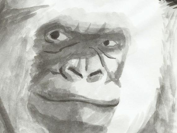 Floquet de Neu Copito de Nieve retrat retrato portrait