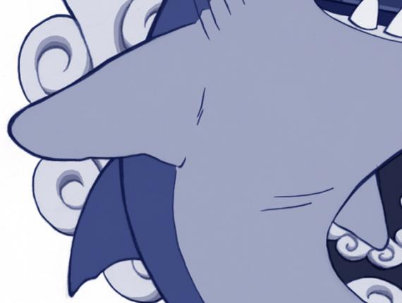 akula tauró tiburón shark