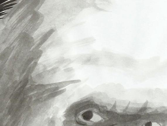 Floquet de Neu Copito de Nieve retrat retrato portrait