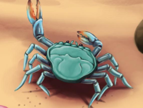 Puff, el drac màgic Puff, the Magic Dragon Puff el dragón mágico