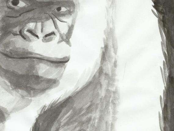 Floquet de Neu Copito de Nieve retrat retrato portrait