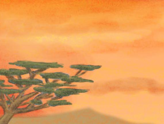 elefant elefante elephant