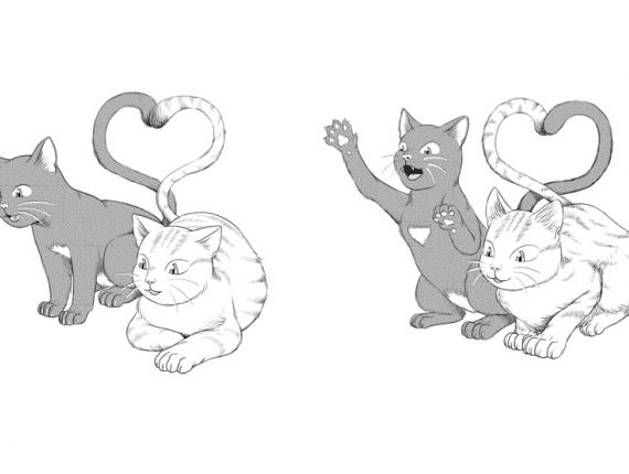 invitació de boda invitación de boda Wedding invitation núvia novia bride núvi novio groom gats gatos cats