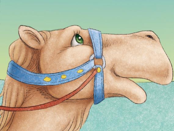 Els Reis Mags Los Reyes Magos the three wise men