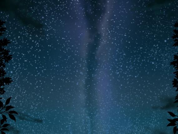 contraportada back cover La trascendencia de tres lágrimas Barcelona