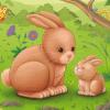 trencaclosques rompecabezas puzzle conejo conill rabbit