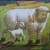 trencaclosques rompecabezas puzzle ovella oveja sheep