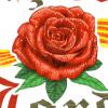 Sant Jordi rosa rose escut escudo shield espasa espada sword casc casco helmet