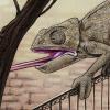 camaleó  camaleón chameleon