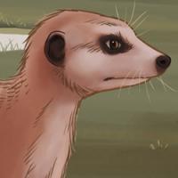 Futur com pinta 2010