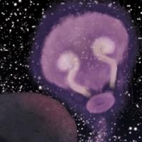 Moai Rapa Nui isla de Pascua illa de pascua moai make make