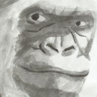 Floquet de Neu Floquet de Neu Copito de Nieve retrat retrato portrait